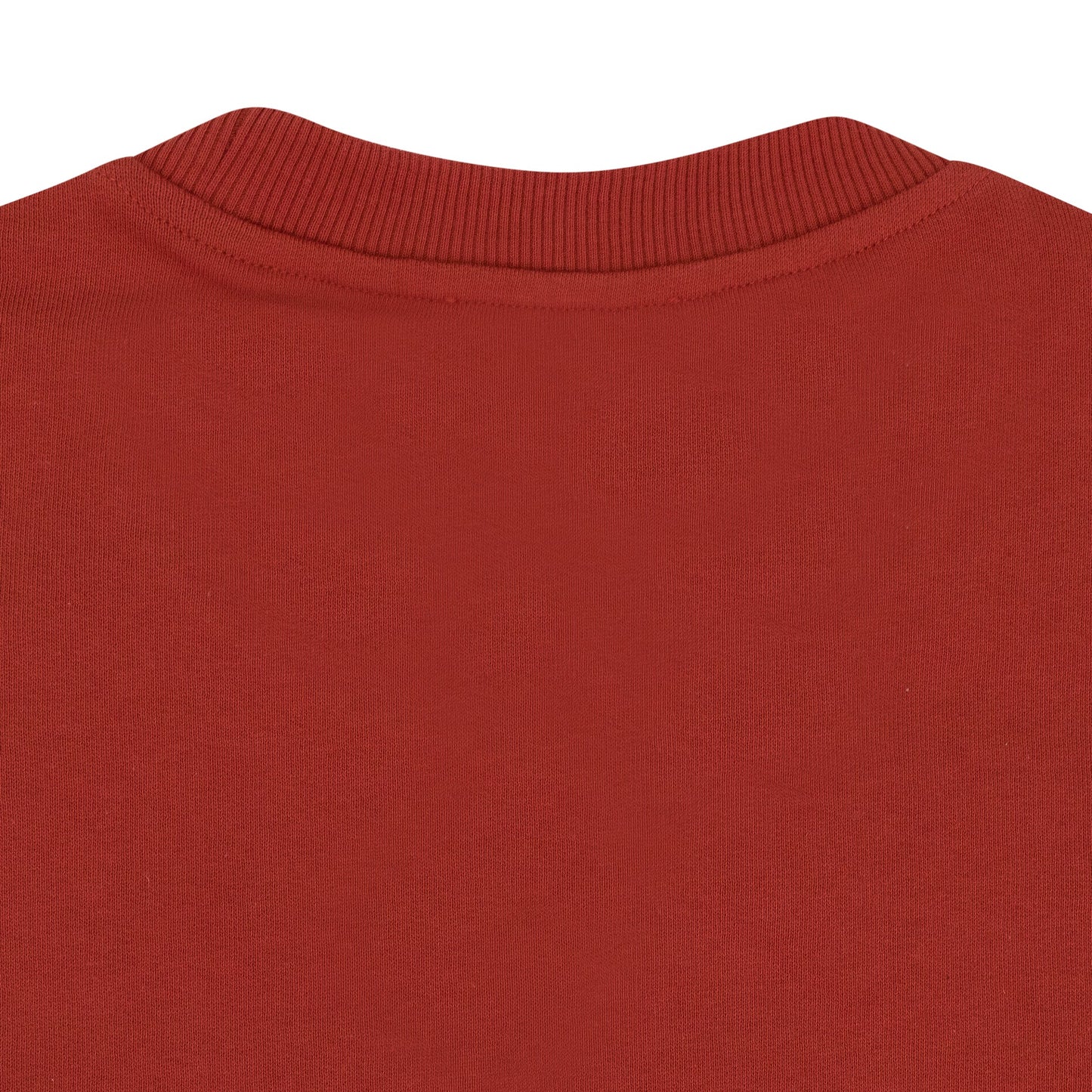 BROWN MINI BOX LOGO HOODIE