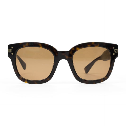 Brown Classic Logo Sunglasses