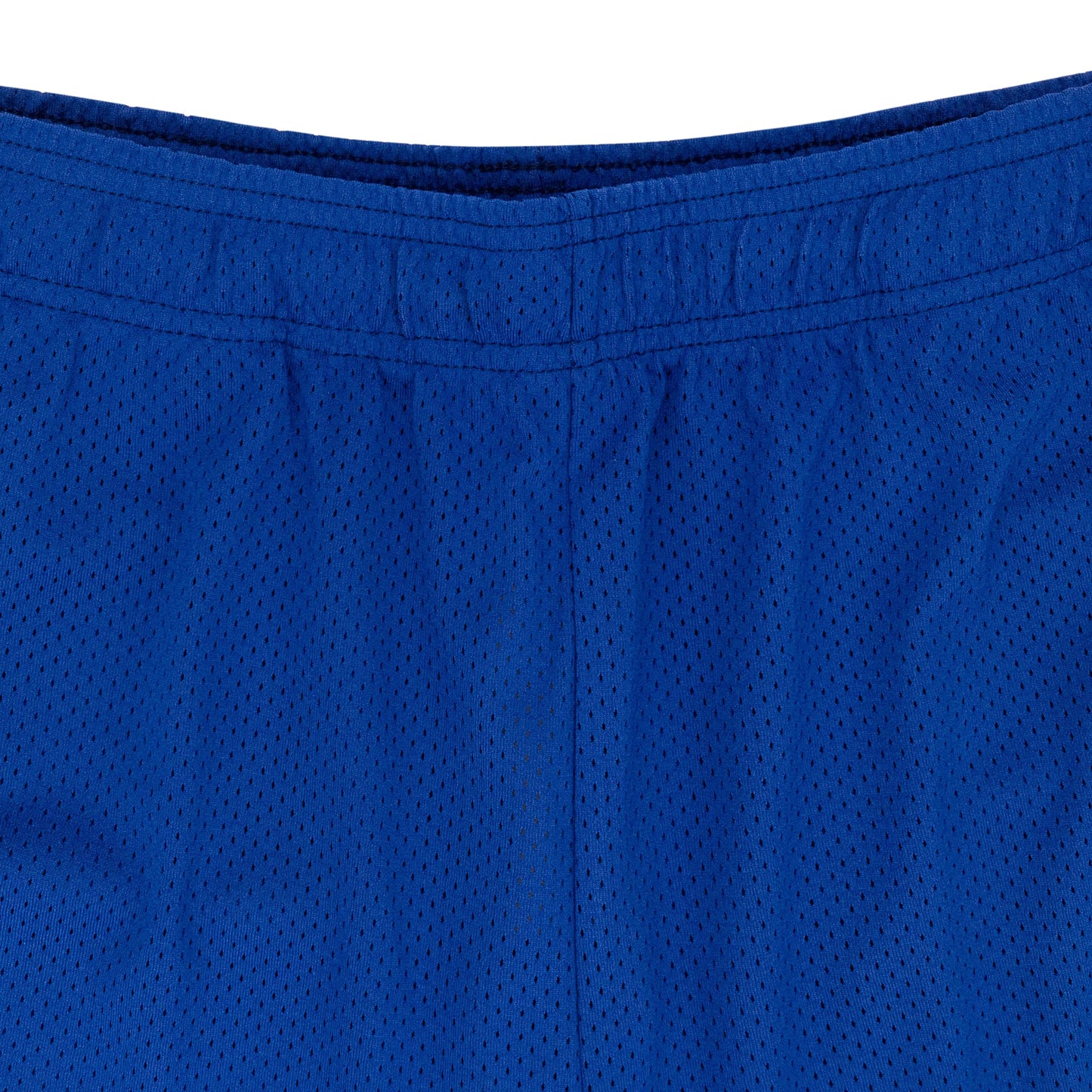 BAT REAPER MESH PURPLE SHORTS