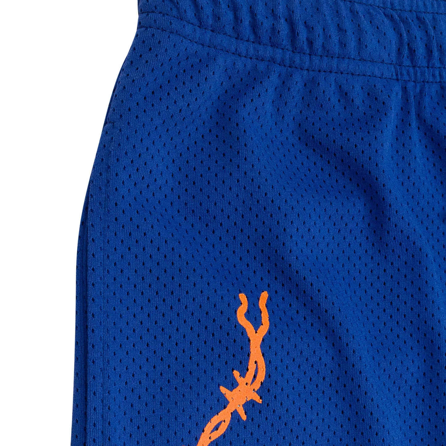 BAT REAPER MESH PURPLE SHORTS