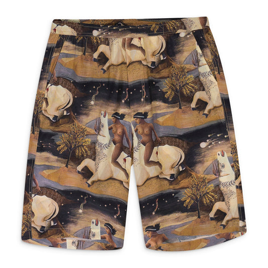EUROPA BOARD MULTICOLORED SHORTS