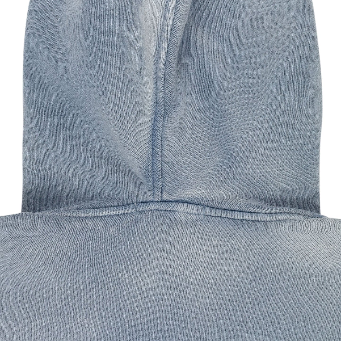 BLUE LOGO HOODIE