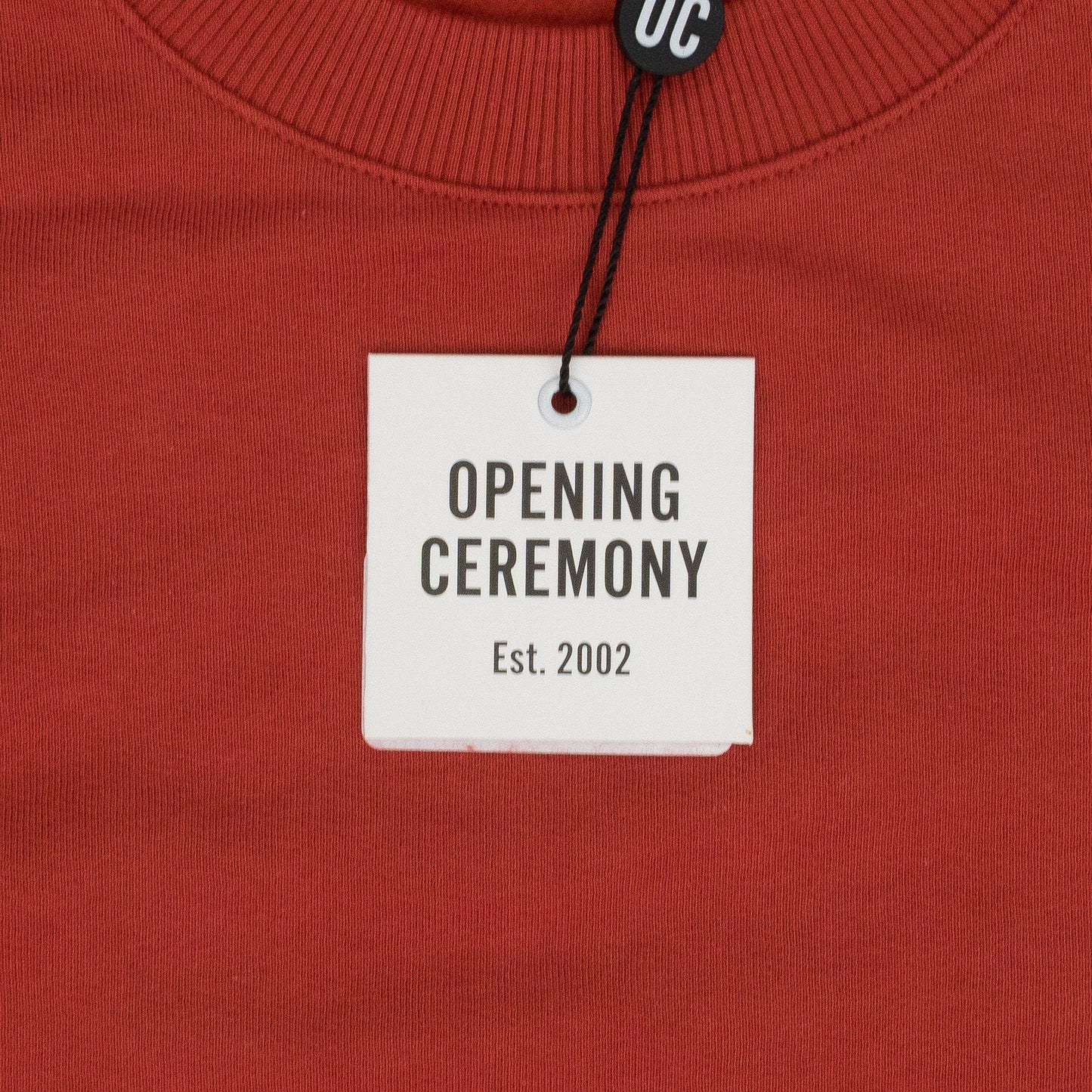 BROWN MINI BOX LOGO HOODIE