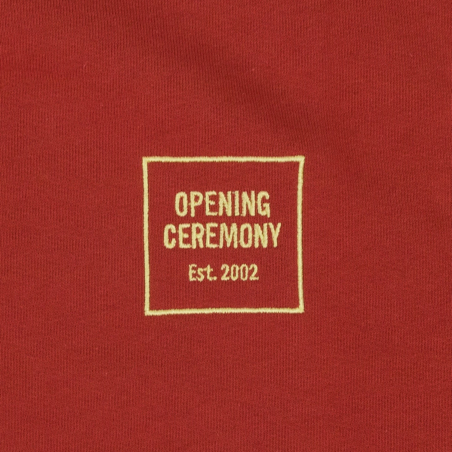 BROWN MINI BOX LOGO HOODIE