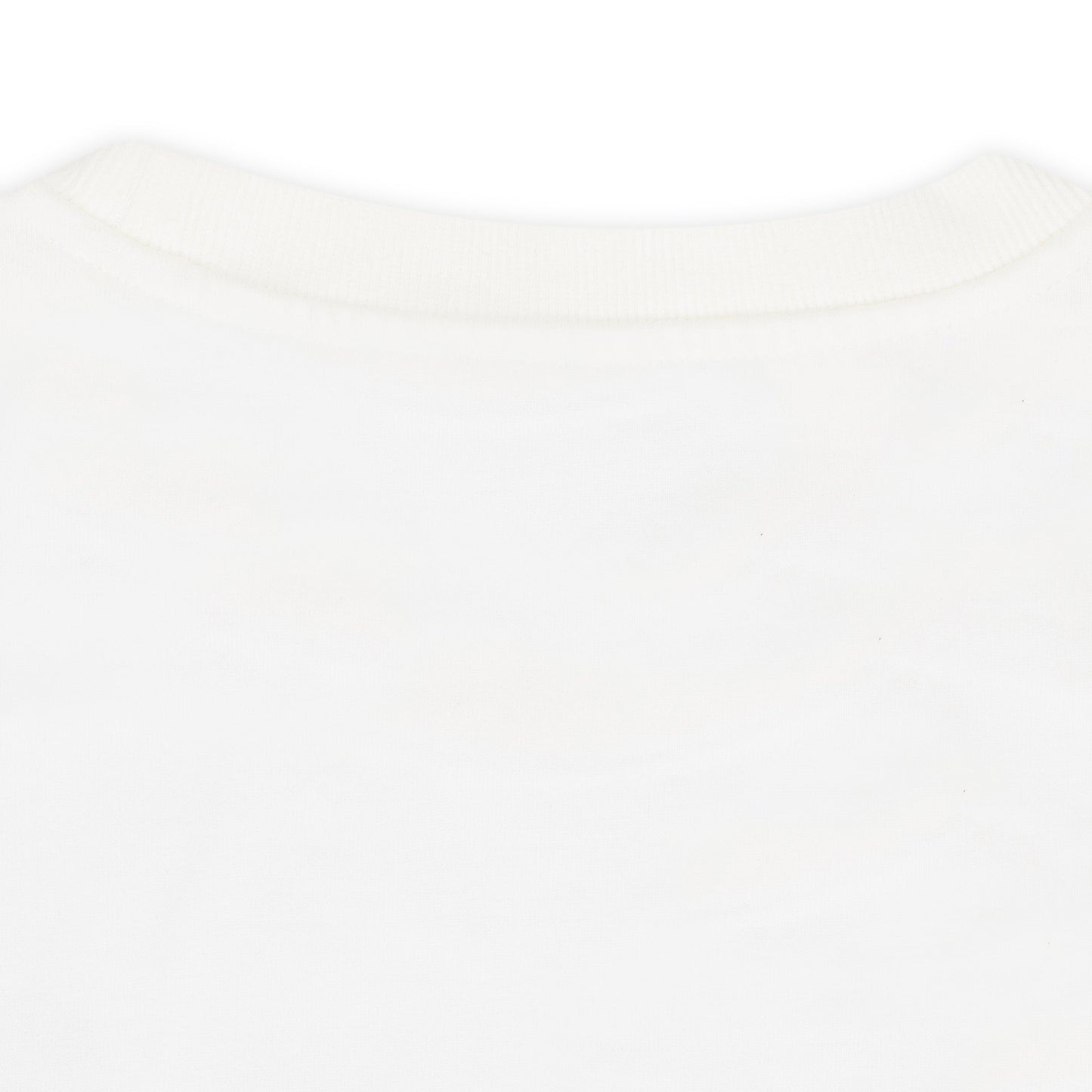 WHITE DIPLOMATS DECIDE SWEATSHIRT