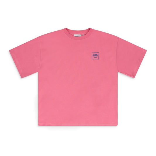 Pink Mini Box Logo T-Shirt