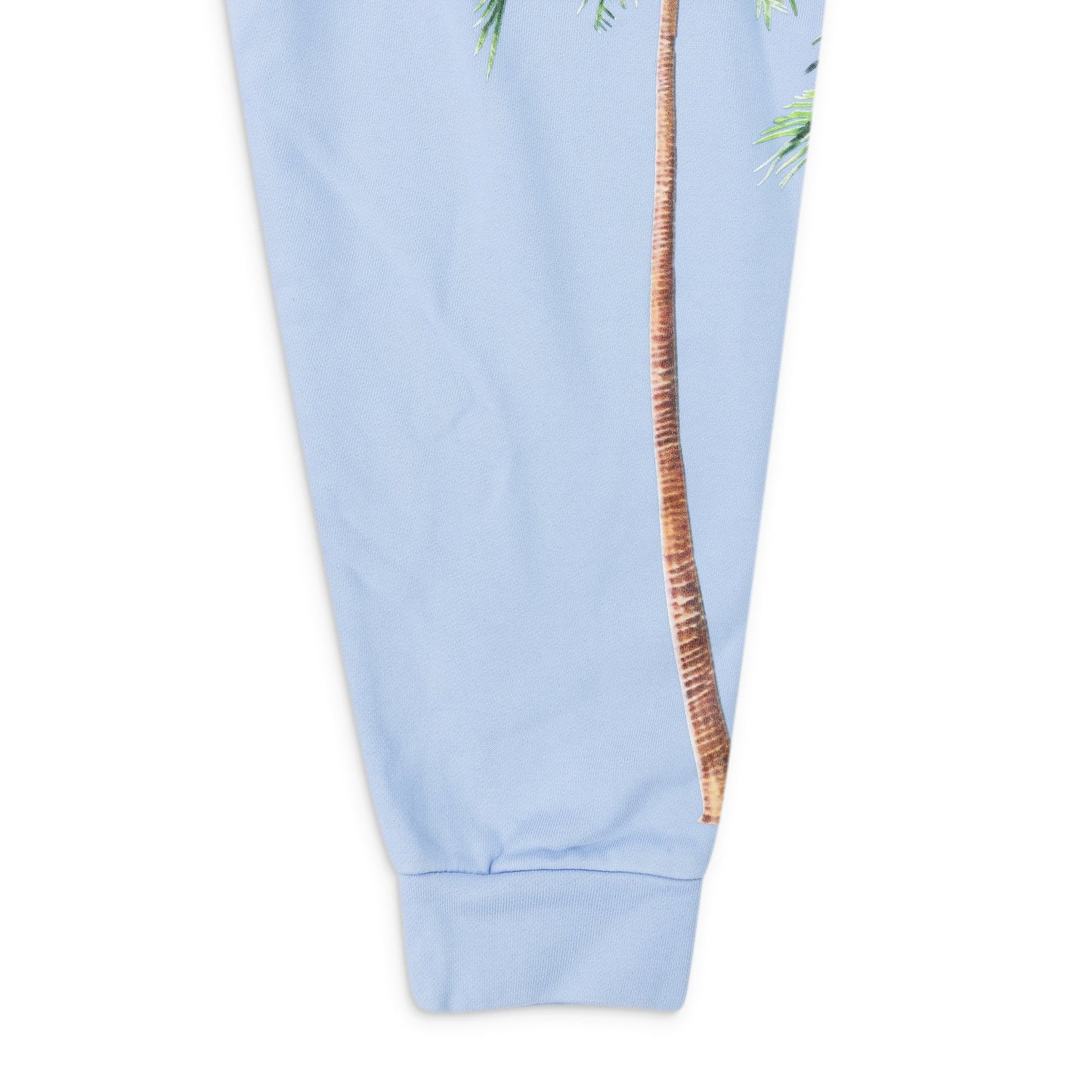 Blue POTN Pullover Hoodie