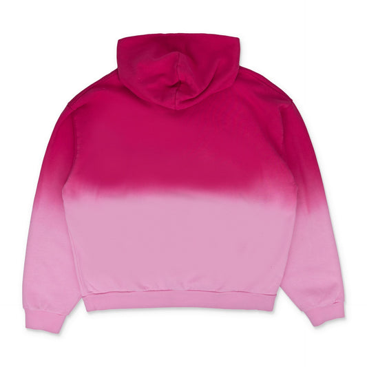Pink Og Web Ombre Hoodie