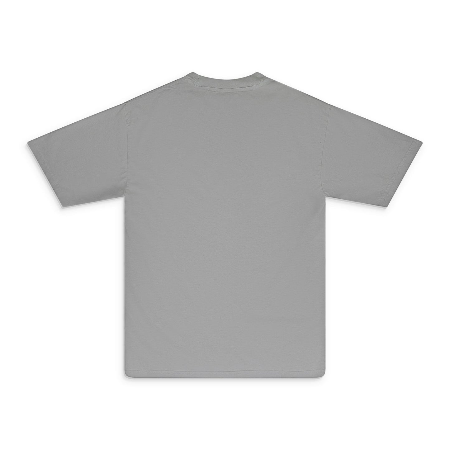 Grey Pro LW T-Shirt