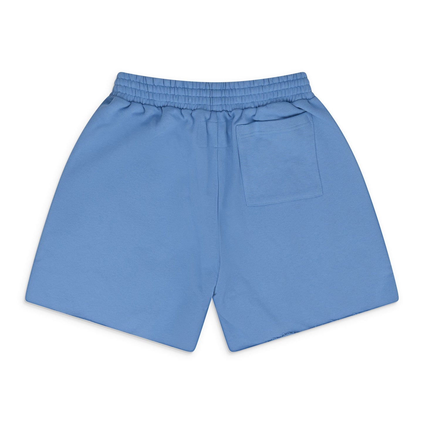 Dusty Blue OG Web V2 Sweatshort