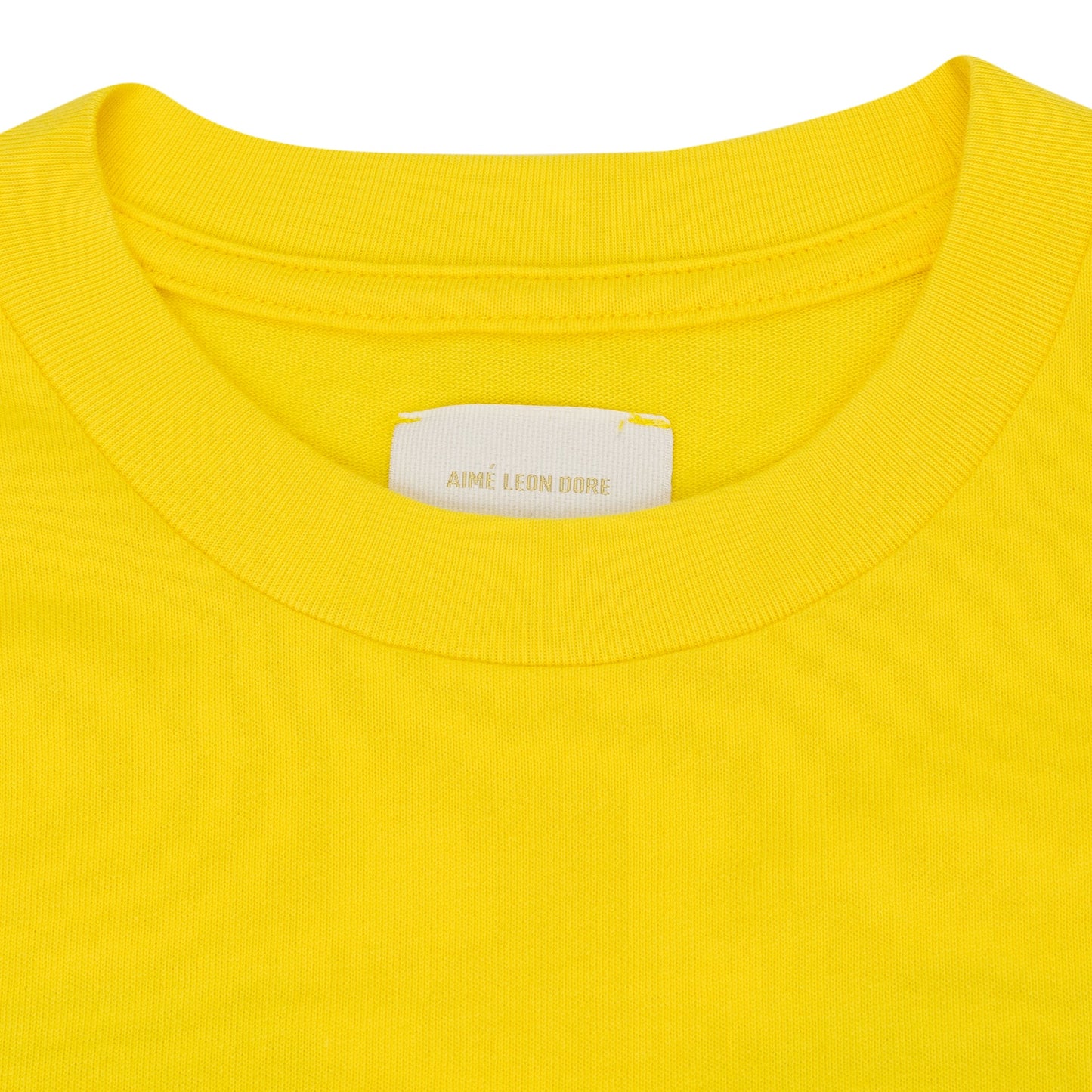Dandelion Q86 Car T-Shirt