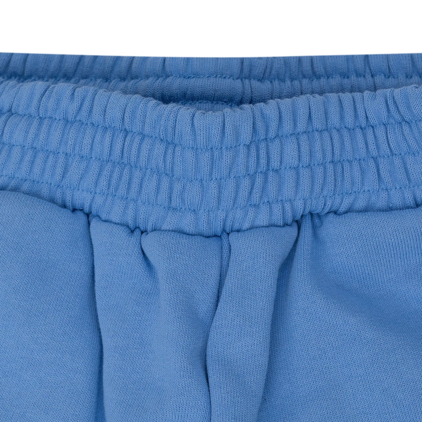 Dusty Blue OG Web V2 Sweatshort