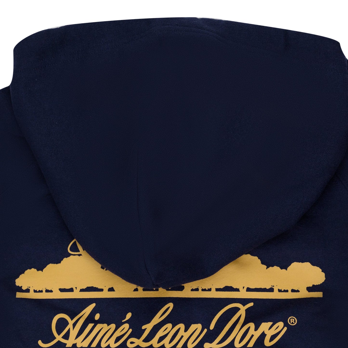 Blue Unisphere Hoodie