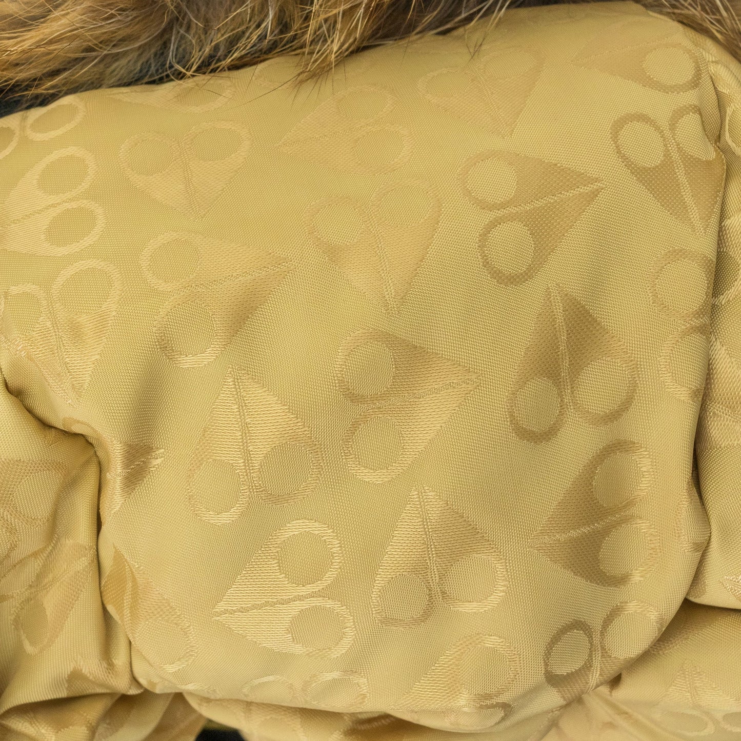 Navy / Gold Stag Lake Parka