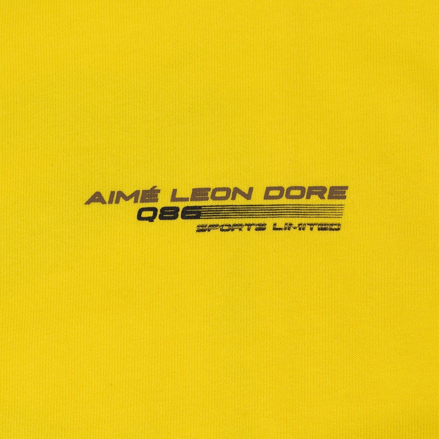 Dandelion Q86 Car T-Shirt