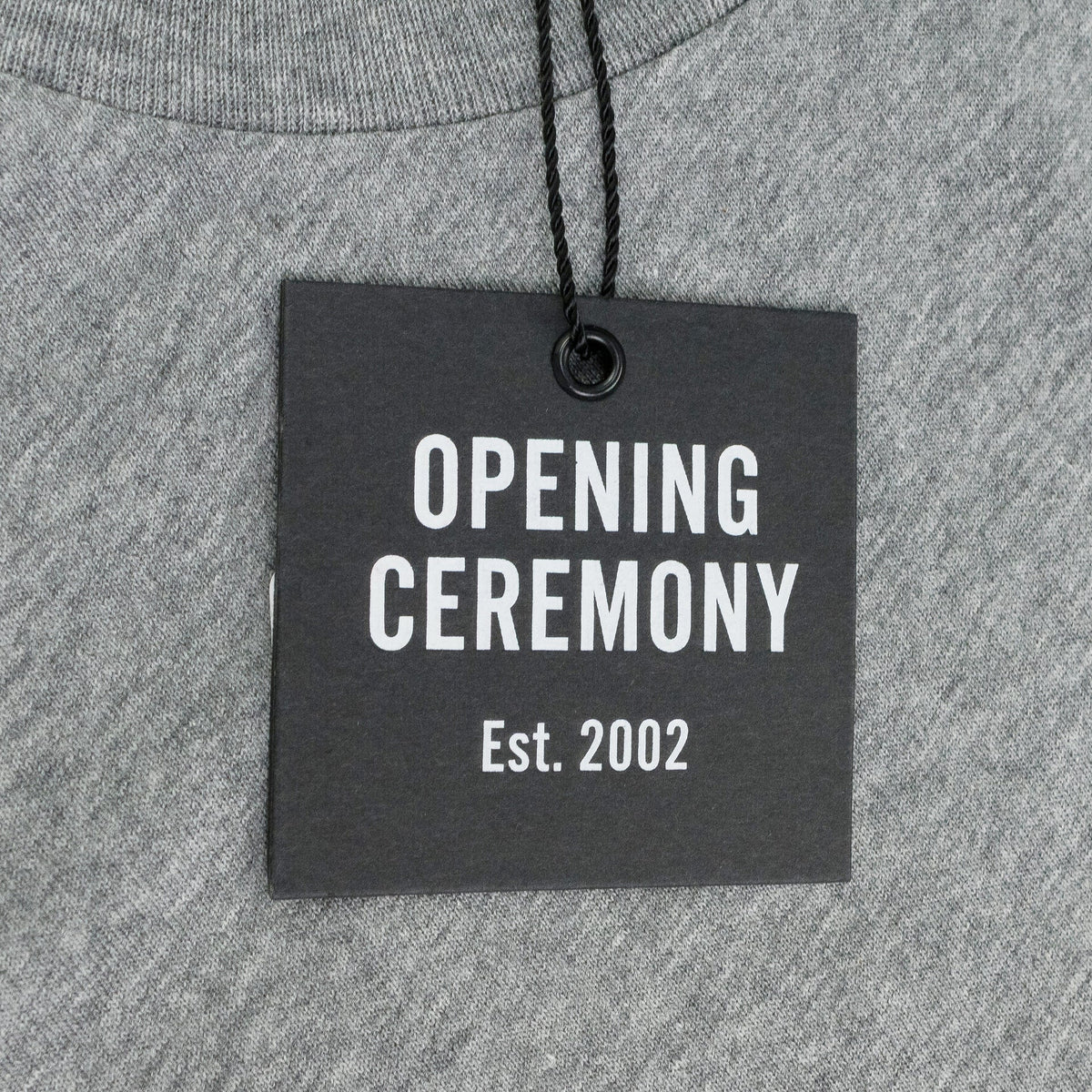 Grey Cozy Longsleeve T-Shirt