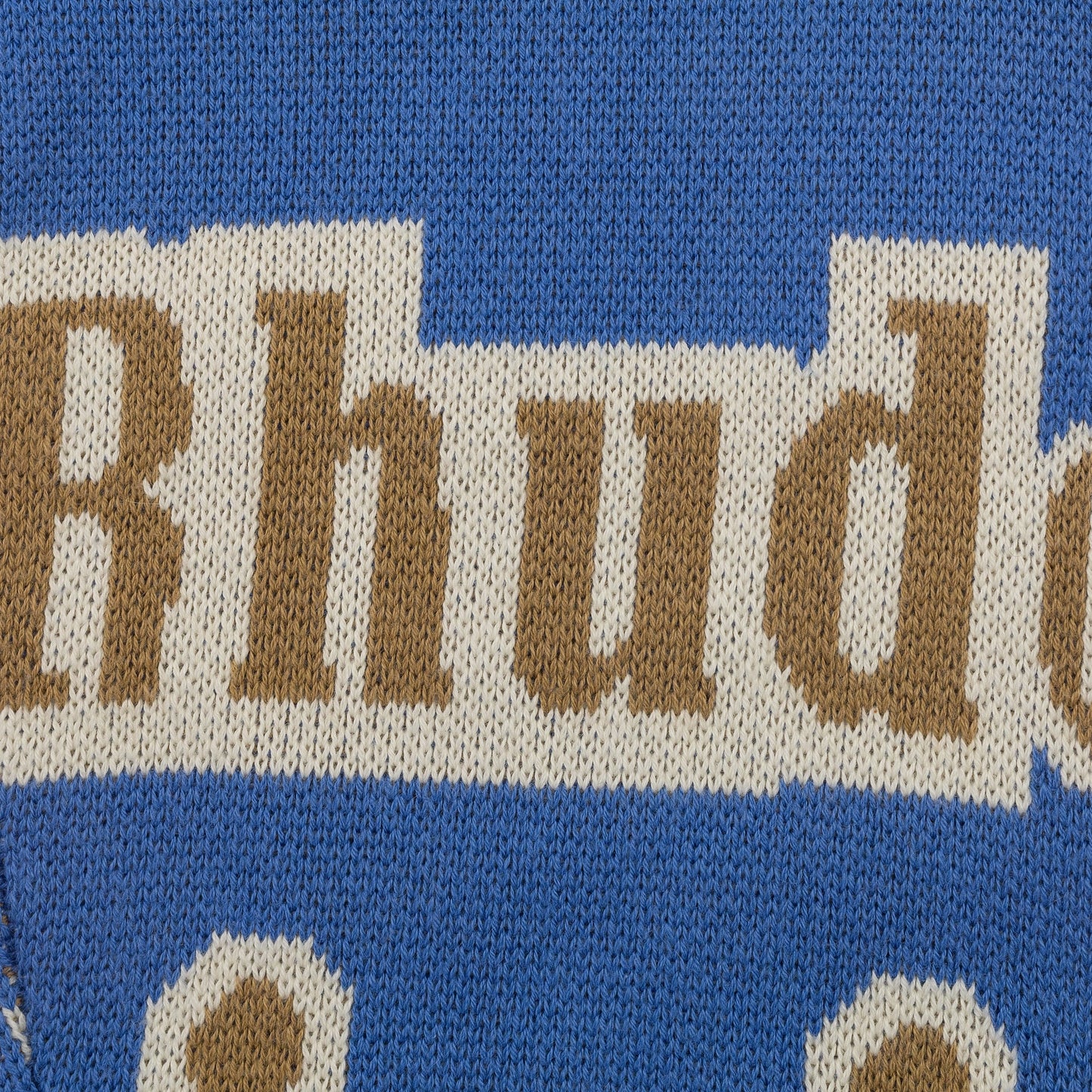 Blue Bandana Knit Sweater